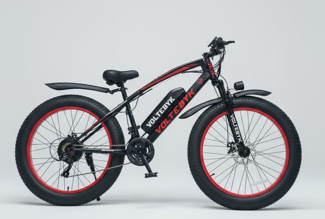 Runner Pro Electric Fat Bike